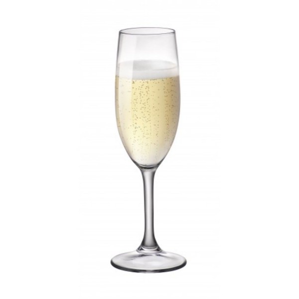 New Kalix sklenice na šampaňské 17 cl